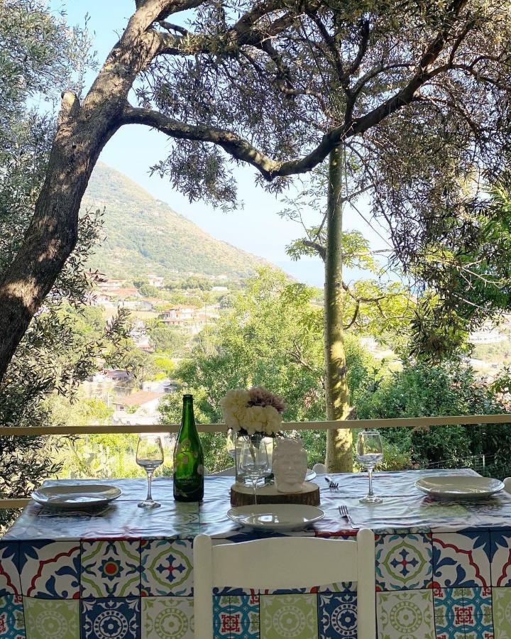 Il Giardino Di Capo Vaticano B&B And Apartments Exteriör bild