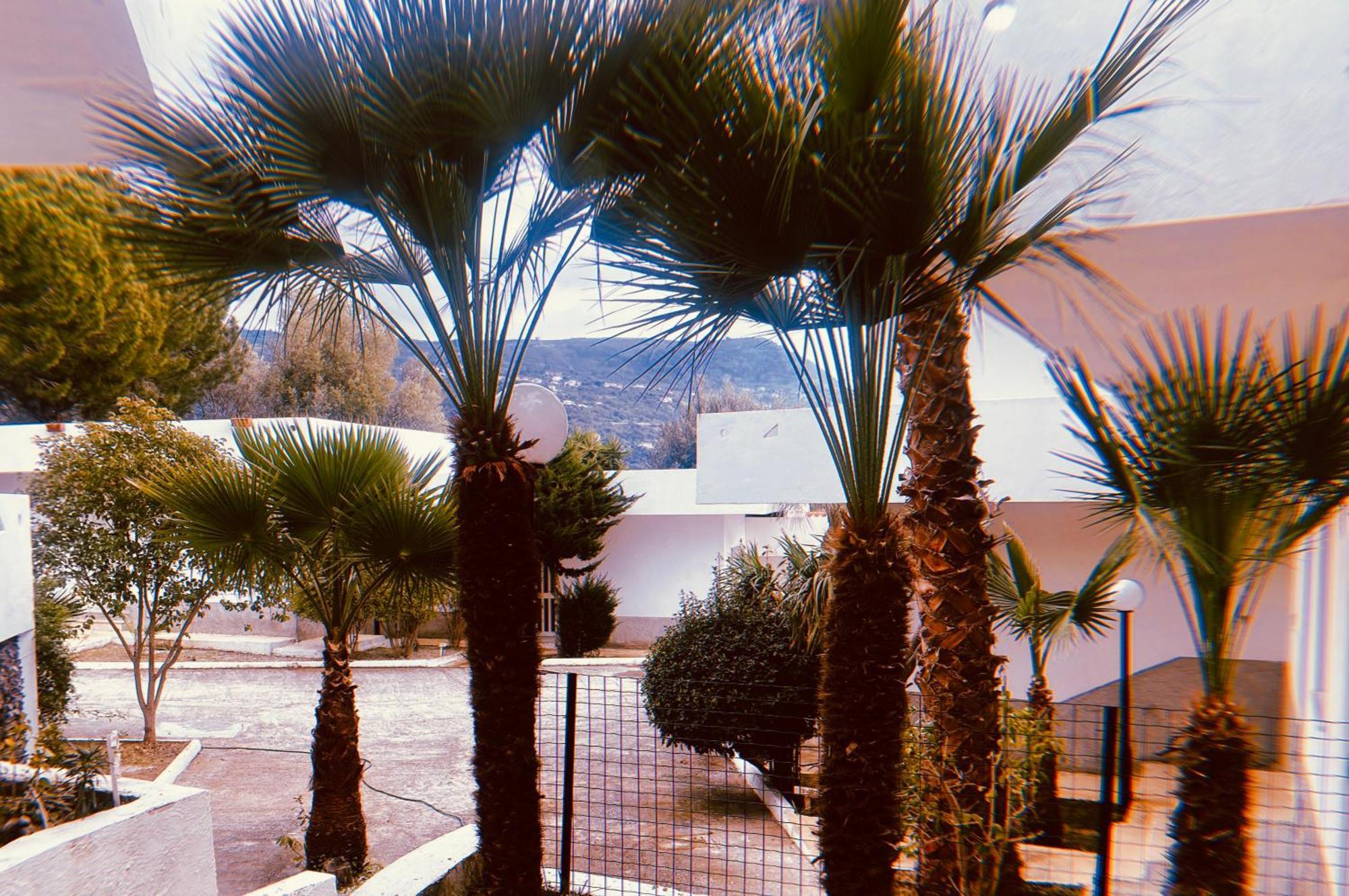 Il Giardino Di Capo Vaticano B&B And Apartments Exteriör bild